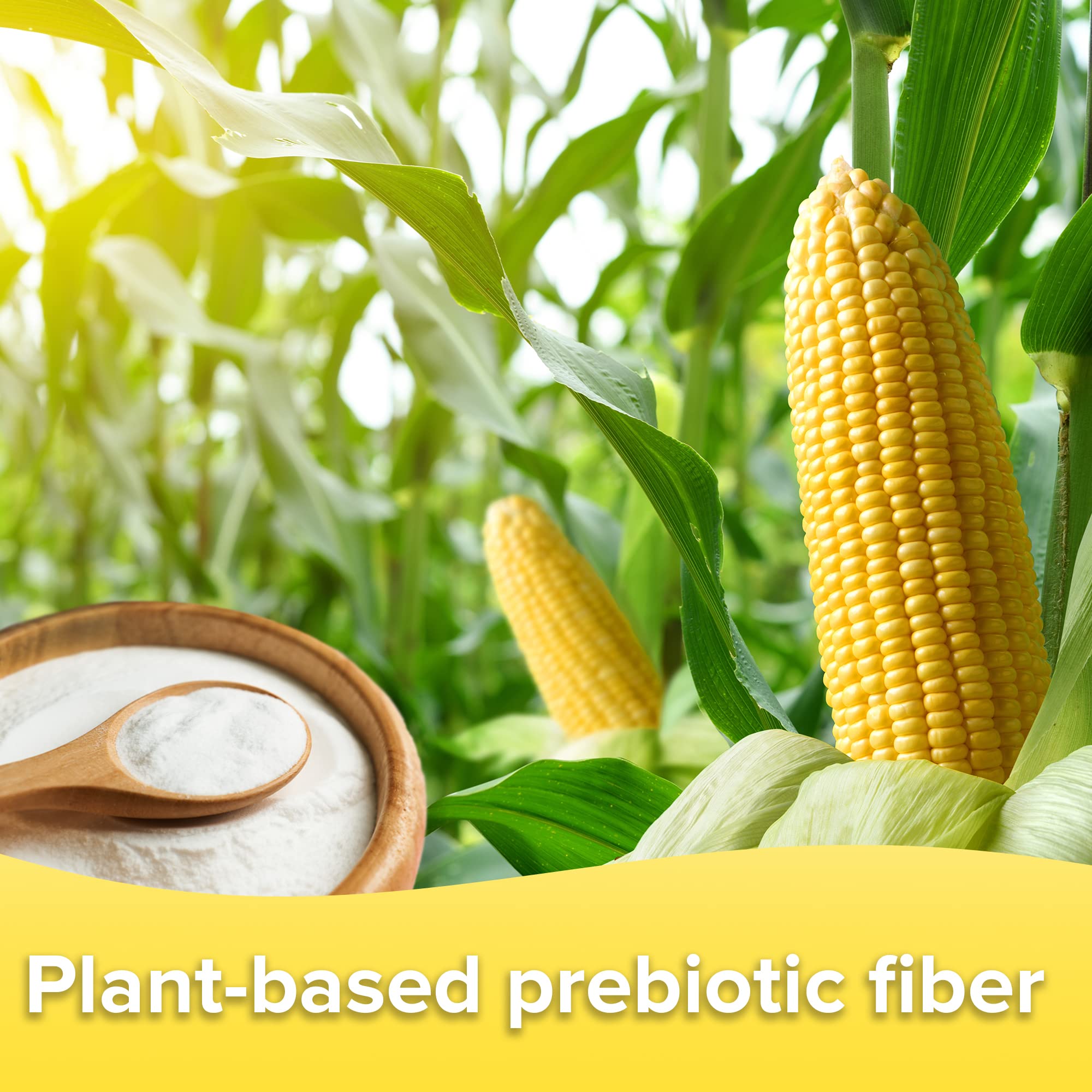 ADVAGEN Prebio Fibres : prébiotiques soutenant une flore intestinale équilibrée.