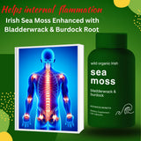 Advanced Bionetix – bladderwrack et burdock, ingrédients bénéfiques visibles