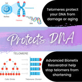 Advanced Bionetix Resveratrol cerveau – soutien potentiel à la concentration