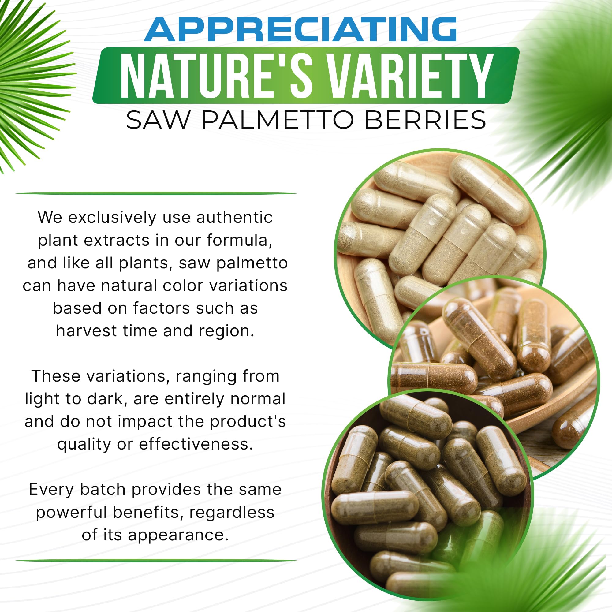 Advanced Nutrition Labs Saw Palmetto – soutiens potentiels pour la santé prostatique et urinaire.