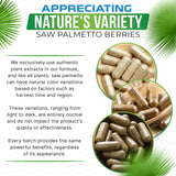 Advanced Nutrition Labs Saw Palmetto – soutiens potentiels pour la santé prostatique et urinaire.
