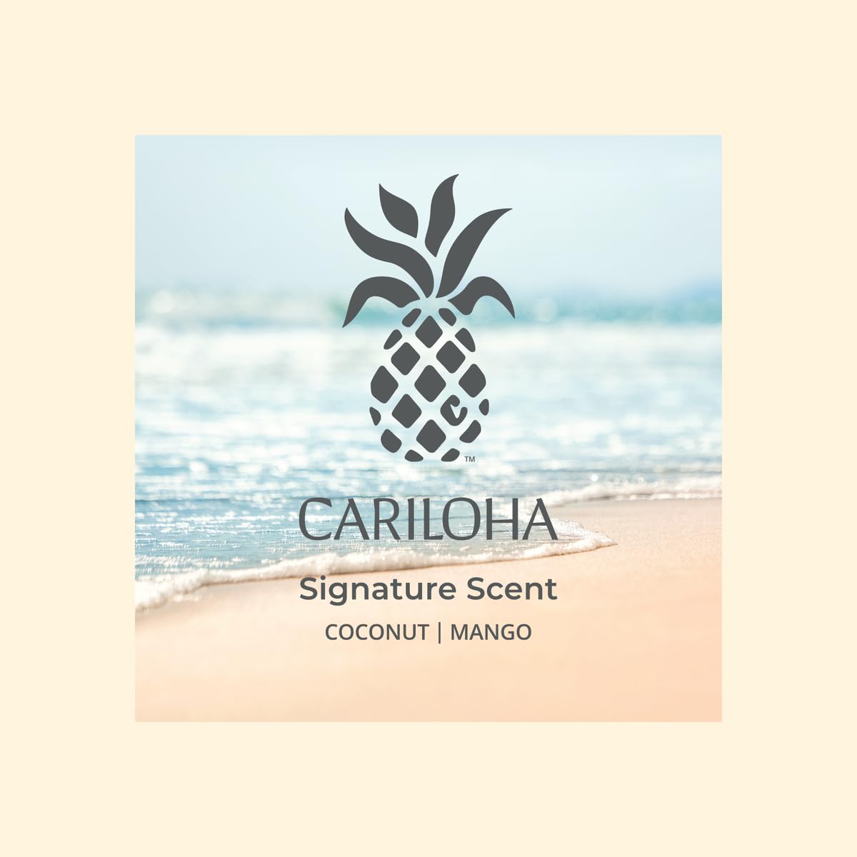 Parfum mangue-coco AERA Cariloha, ambiance tropicale durable.