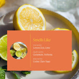 Aera Mini Citrus: notes citron et orange pour une ambiance vivifiante à domicile.