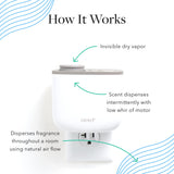 Aera Mini De-Stress Mind – emballage sain et respectueux de l’environnement.