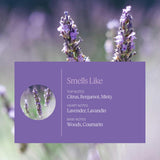 AERA Mini Lavender – diffuseur mini, expérience olfactive douce et méditative.