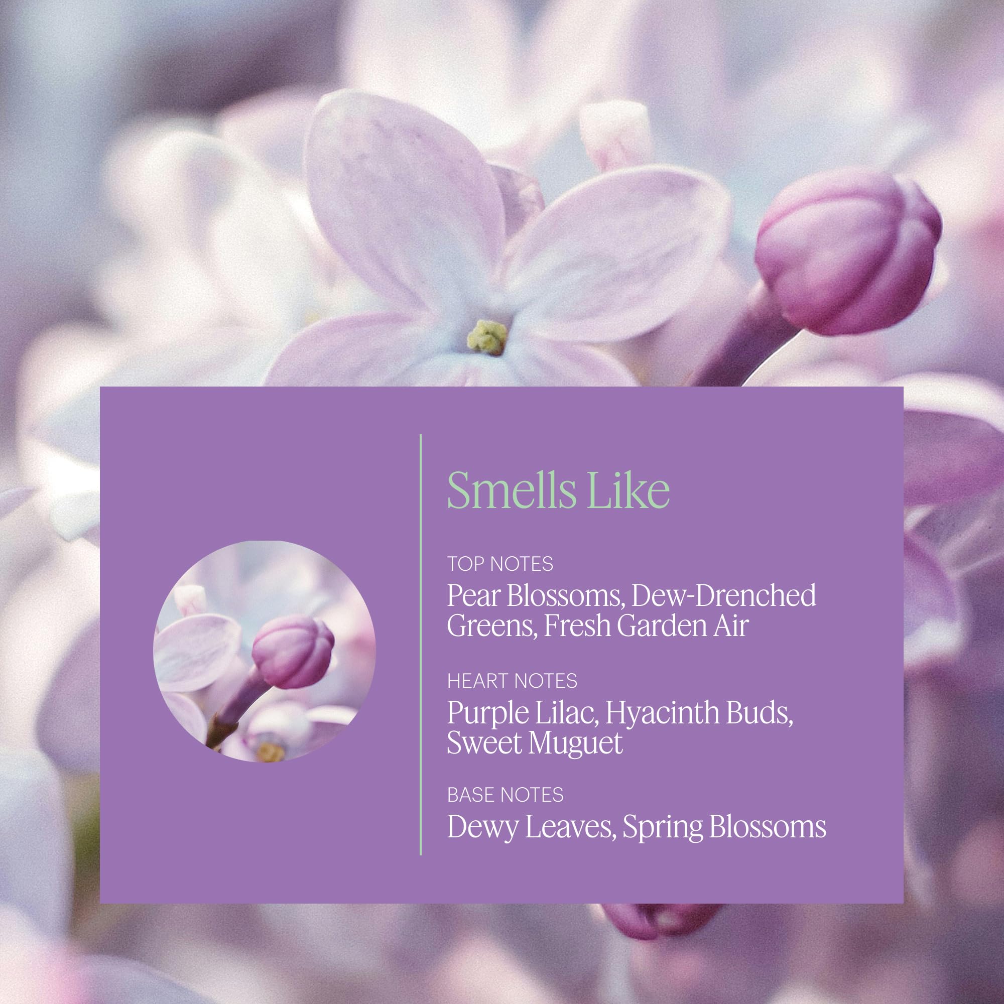 Capsule parfum Aera Mini Lilac Daydream, diffusion concentrée et pratique