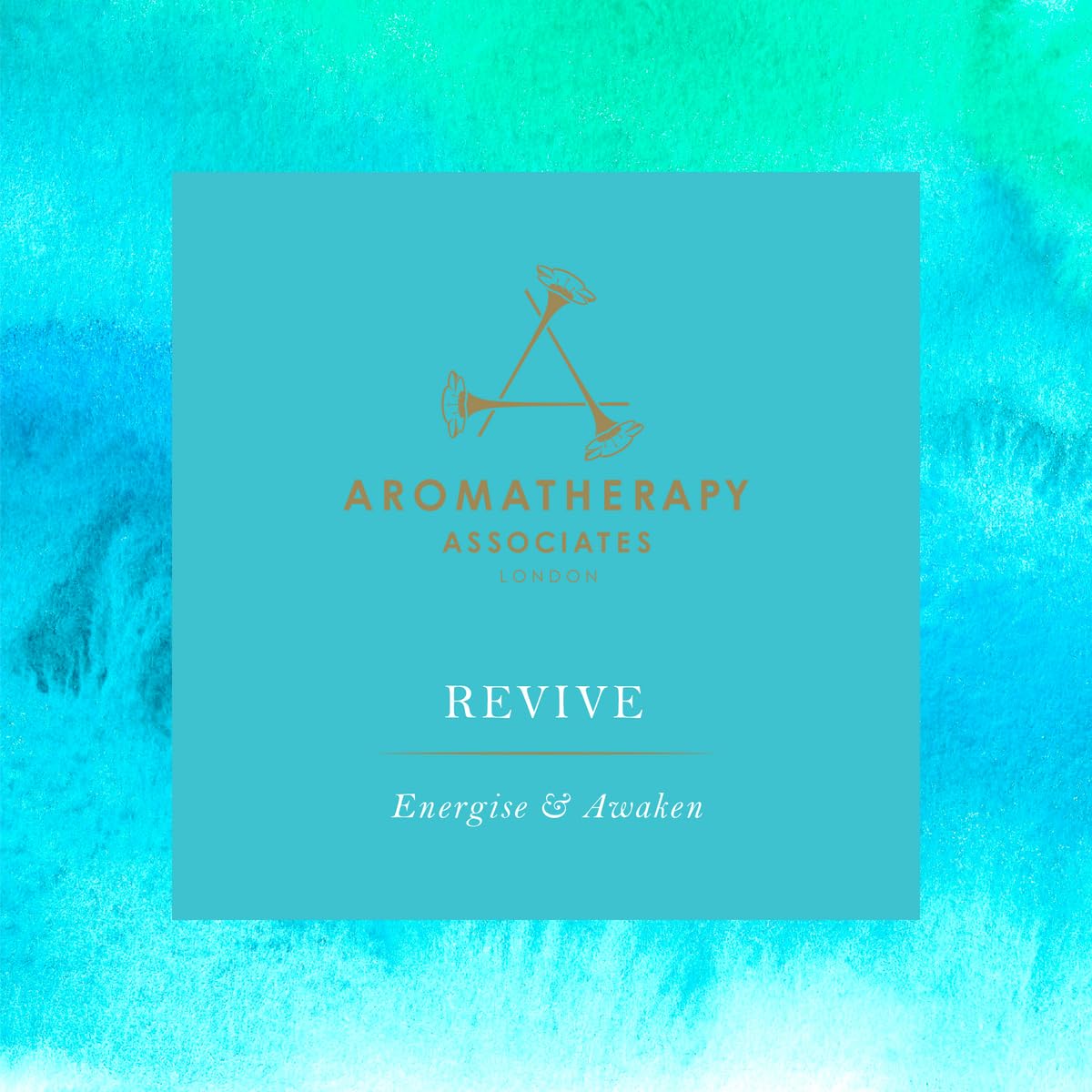 AERA Revive: note pamplemousse apporte énergie et fraîcheur à la pièce.