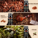 Huiles Aeshory Cèdre – flacon 10ml pour une atmosphère bois et calme