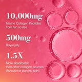AFC Japan Tsubaki Ageless – Verre prêt à mélanger, usage quotidien pratique