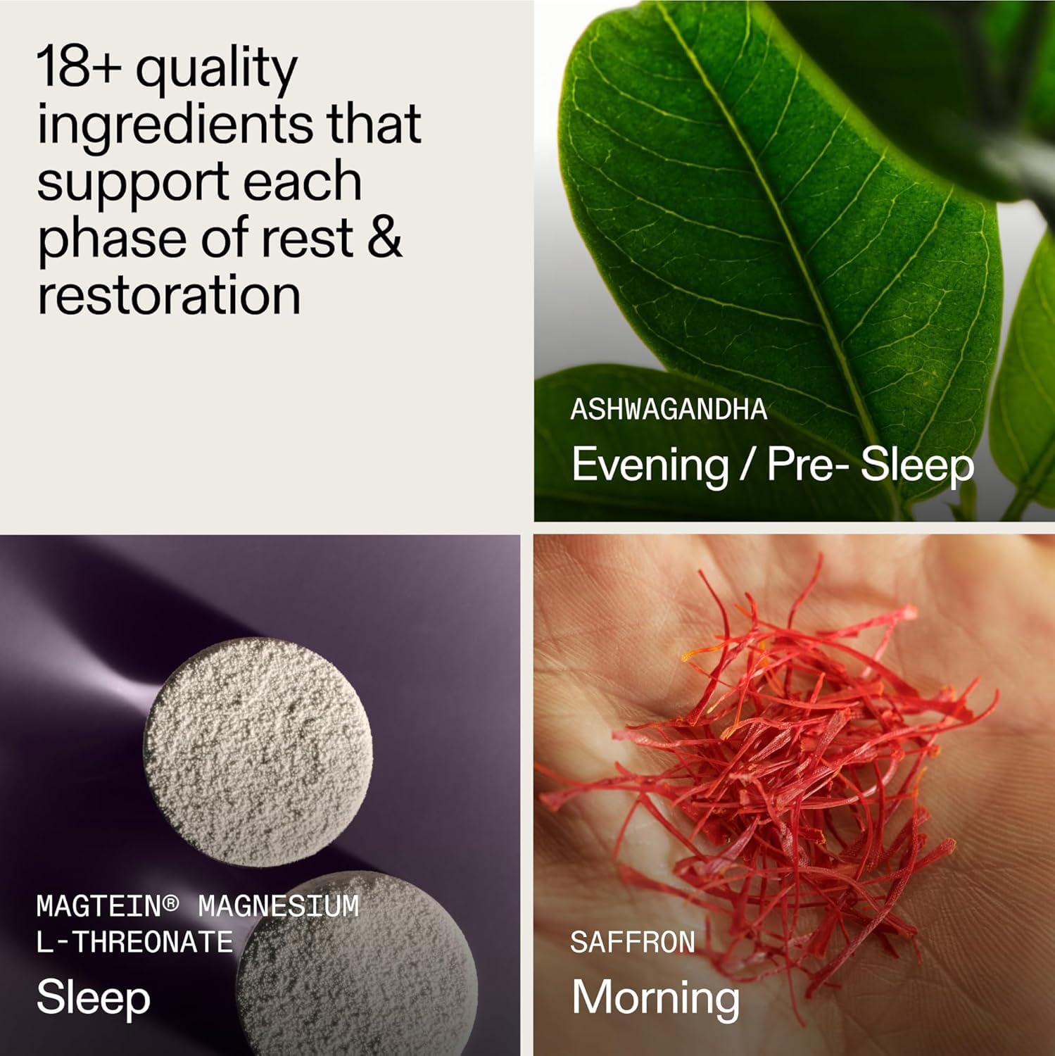 AG1 AGZ Sleep Drink poudre mesurée idéale pour soirées calmes