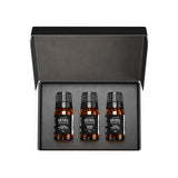 Air-Scent diffuseur Noël trio montrant l’ambiance festive et chaleureuse de la pièce