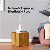 Airversa AN6, diffuseur pour pièce jusqu'à 600 pieds carrés, utilisation polyvalente.