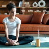 Airversa diffusion nano pour pièces spacieuses et parfum durable.