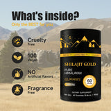 Format Voyage AUIXOPI Shilajit Gummies, pratique à emporter
