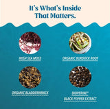 Deux capsules Akasha Superfoods Sea Moss par jour, faciles à intégrer.