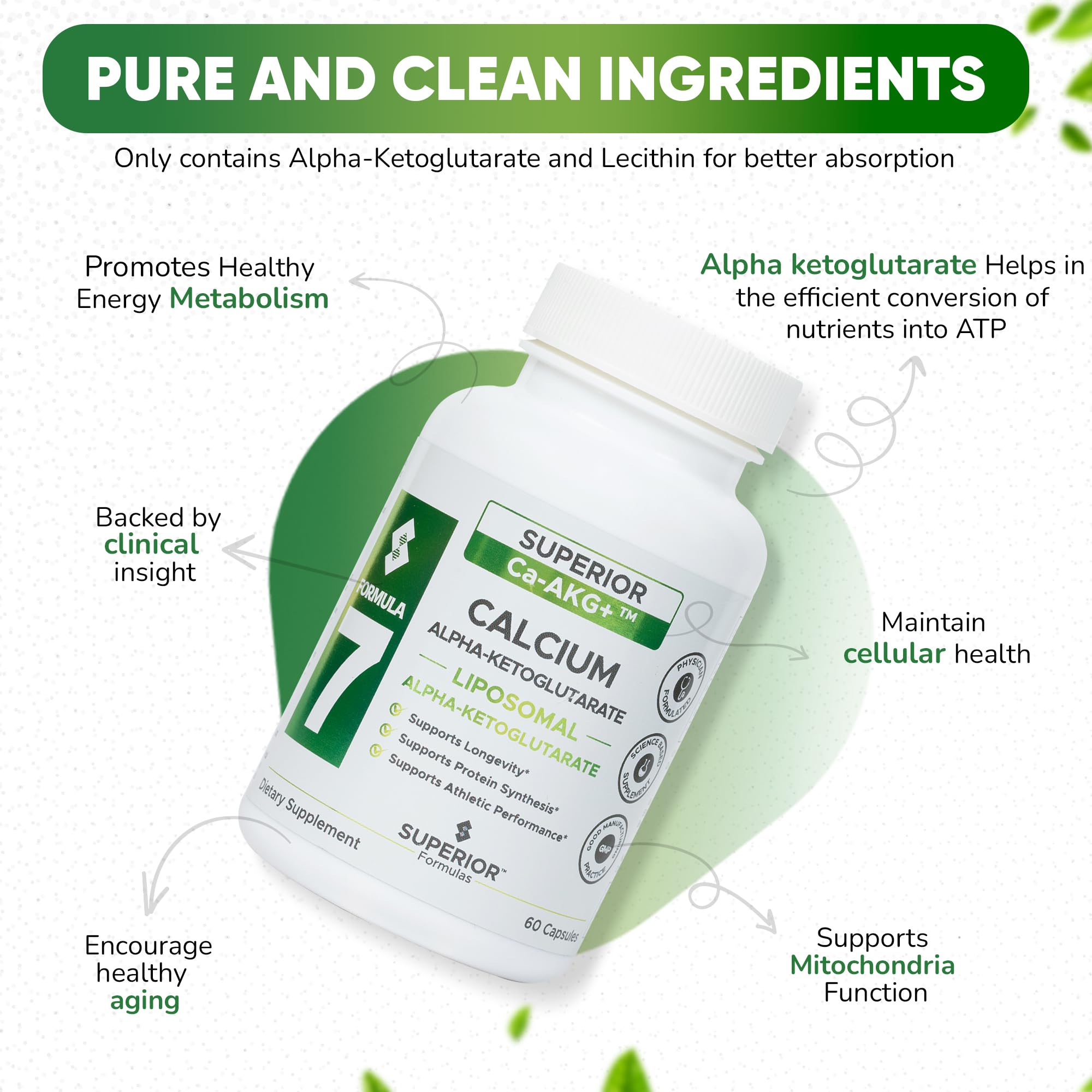 AKG 1100 mg – contenu 60 capsules végétariennes prêt à consommer.
