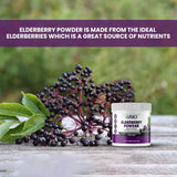 AKI Organic poudre de sureau noir pour votre routine quotidienne.