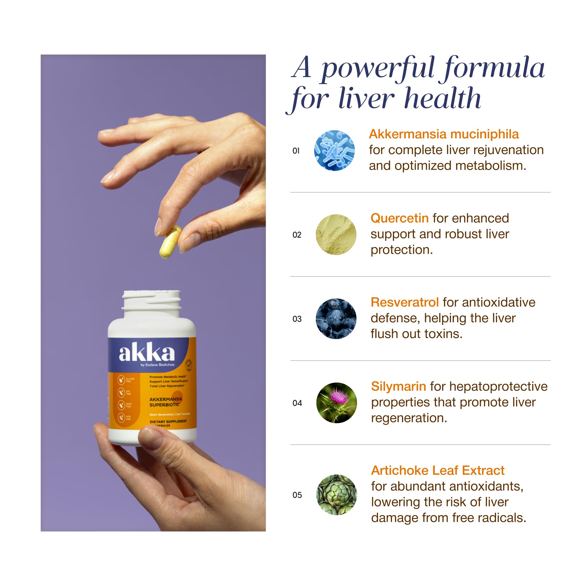 AKKA Premium Liver Cleanse – planche ingrédients montrant les composants clés.
