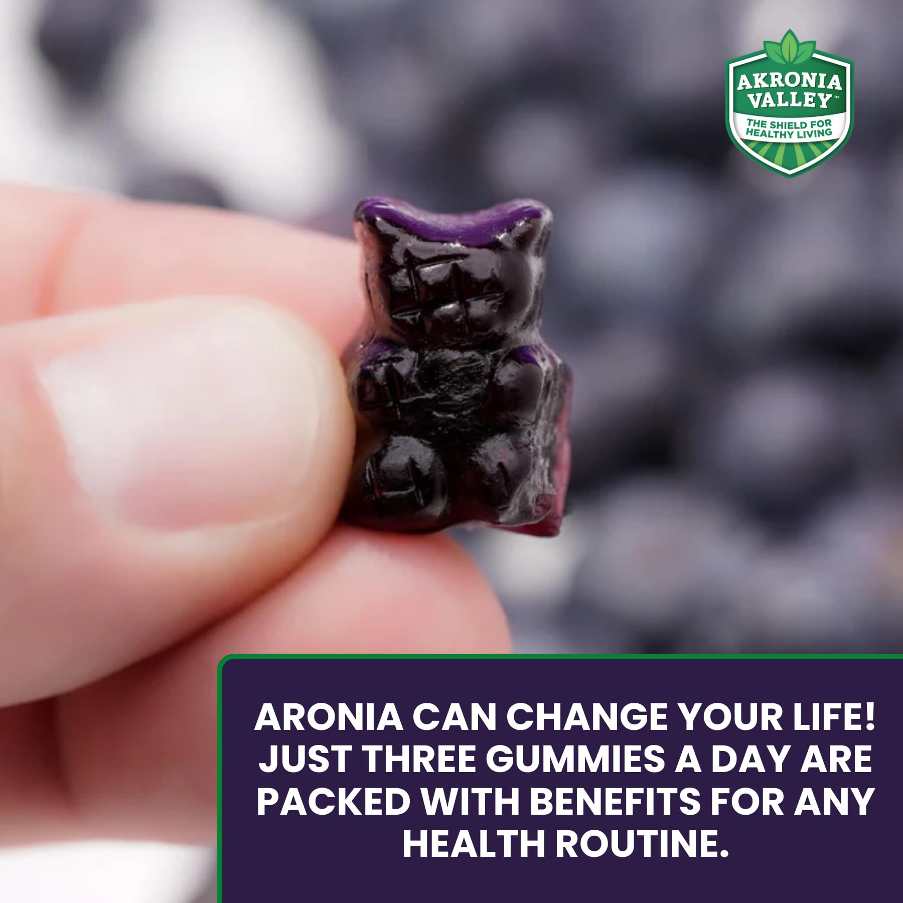 Antioxydants naturels avec Akronia Valley Aronia: riches en polyphénols