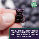 Antioxydants naturels avec Akronia Valley Aronia: riches en polyphénols