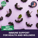 Polyphénols des baies d'Aronia dans les gommes Akronia Valley