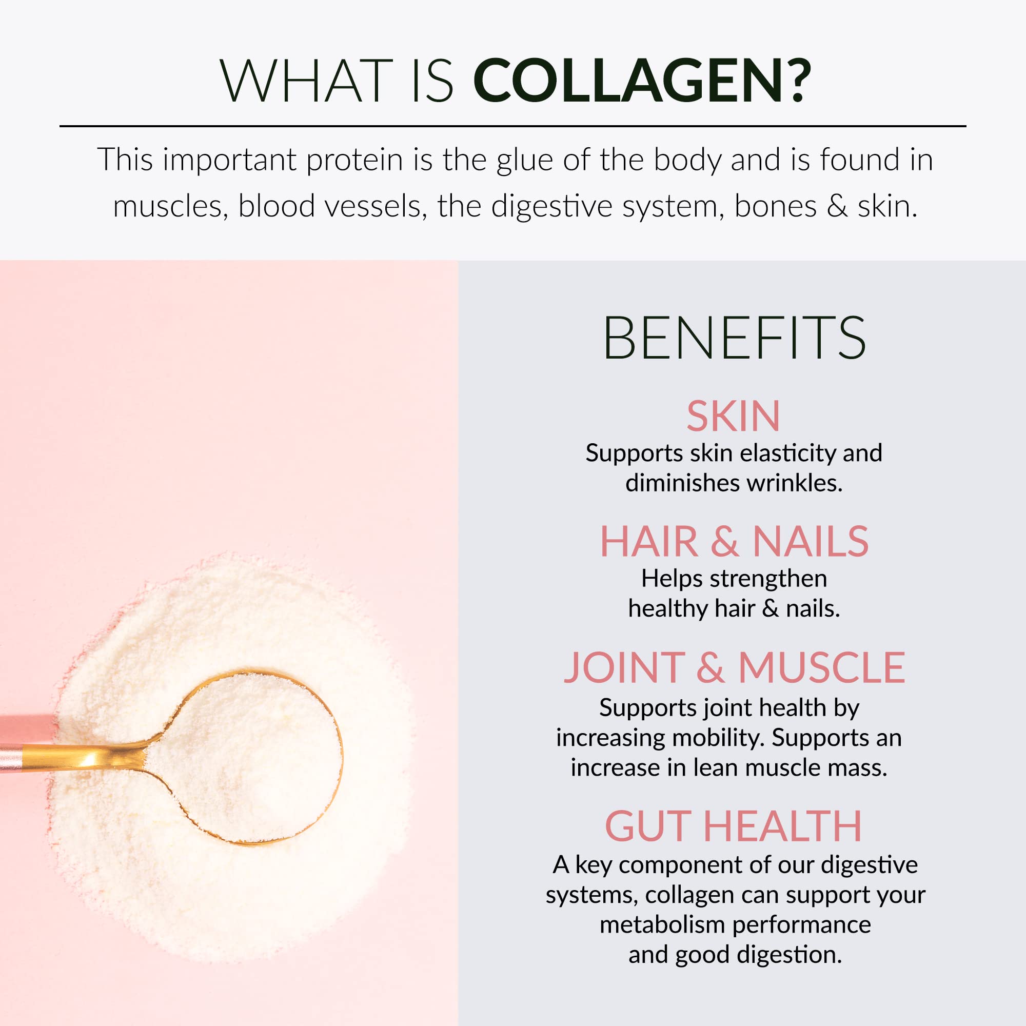 Alaya Naturals Multi Collagen, ingrédients affichés, confiance et transparence.