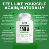 Alevia Amla - capsules 1000mg, pratique pour la routine quotidienne.