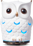 ALIEYE diffuseur ceramique hibou 200ml prêt pour aromathérapie calme dans la chambre