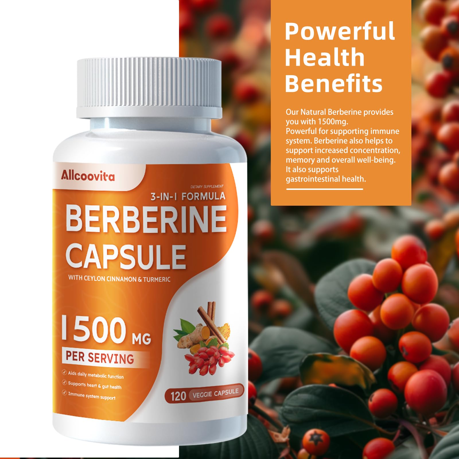 Allcoovita Berberine: dose journalière indiquée sur l'emballage