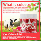Allcoovita gommes Colostrum, goût fraise, un plaisir pratique pour la routine.