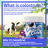 Texture gomme Allcoovita Colostrum, prise quotidienne agréable.