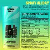 ALLDAY Énergie nomade, prêt à emporter pour les journées chargées.