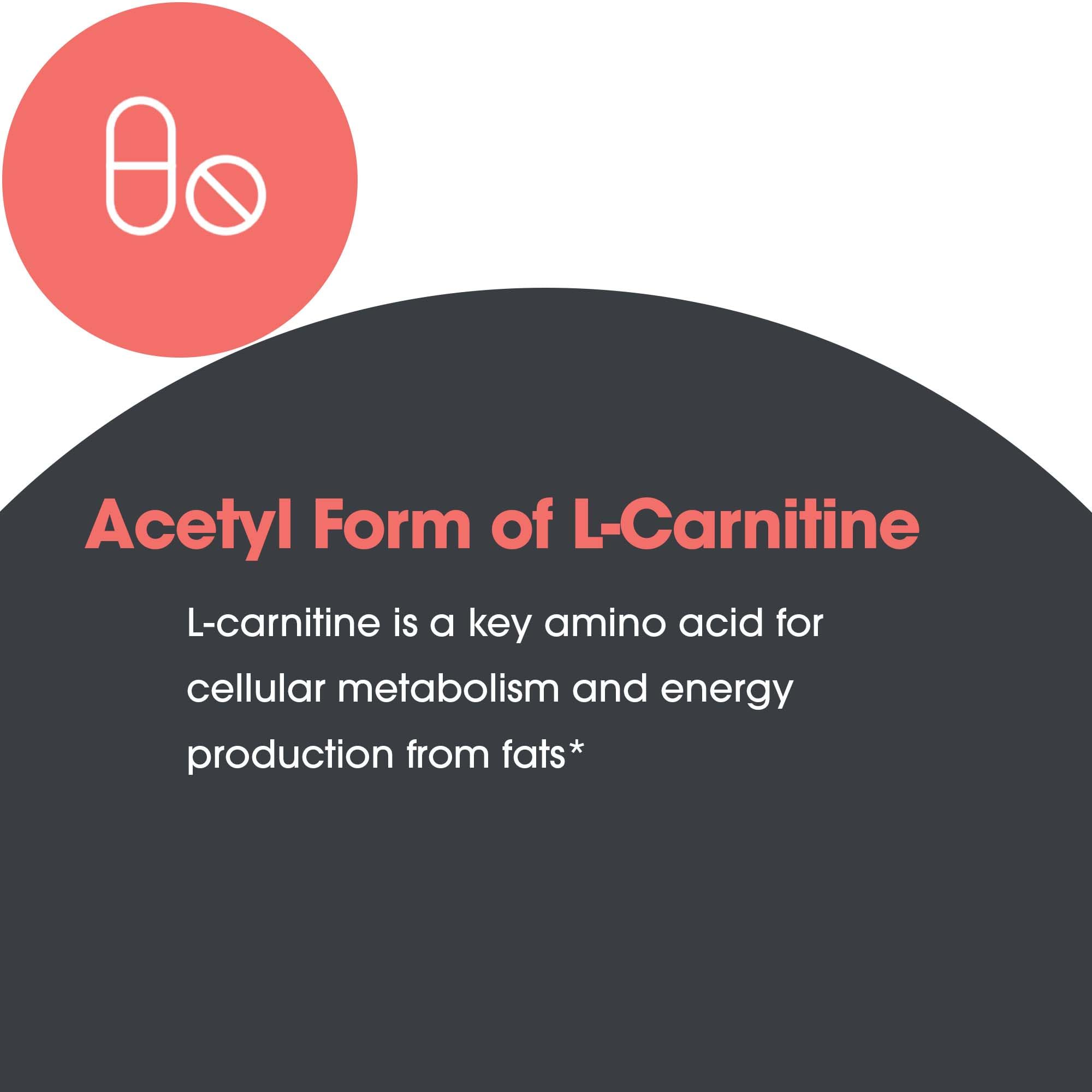 Allergy Research Group Acétyl-L-Carnitine 500 mg — coffret présentoir élégant.
