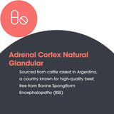 Allergy Research Group ARG Adrenal Cortex — emballage et gélules visibles, présentation soignée