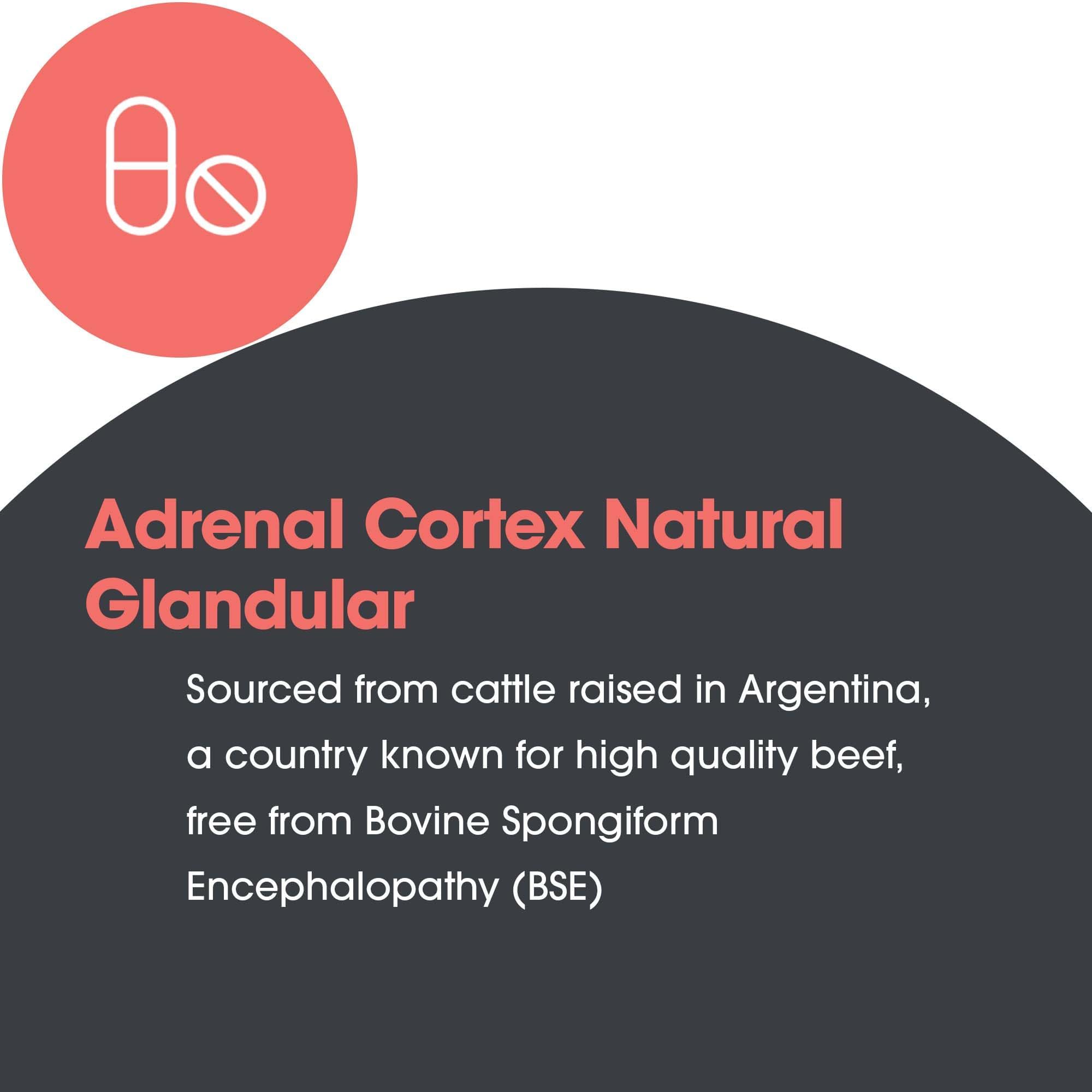 Allergy Research Group ARG Adrenal Cortex — rituel quotidien, intégration facile à votre routine