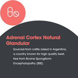Allergy Research Group ARG Adrenal Cortex — rituel quotidien, intégration facile à votre routine