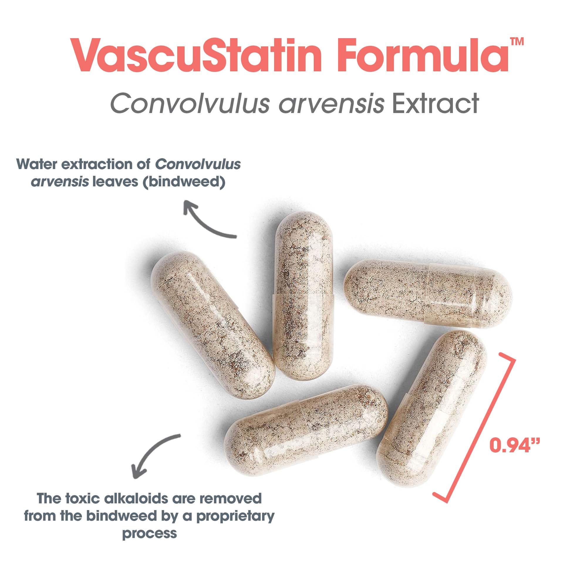 ARG VascuStatin, extrait hydro-convolvulus-arvensis sans alcaloïdes toxiques.