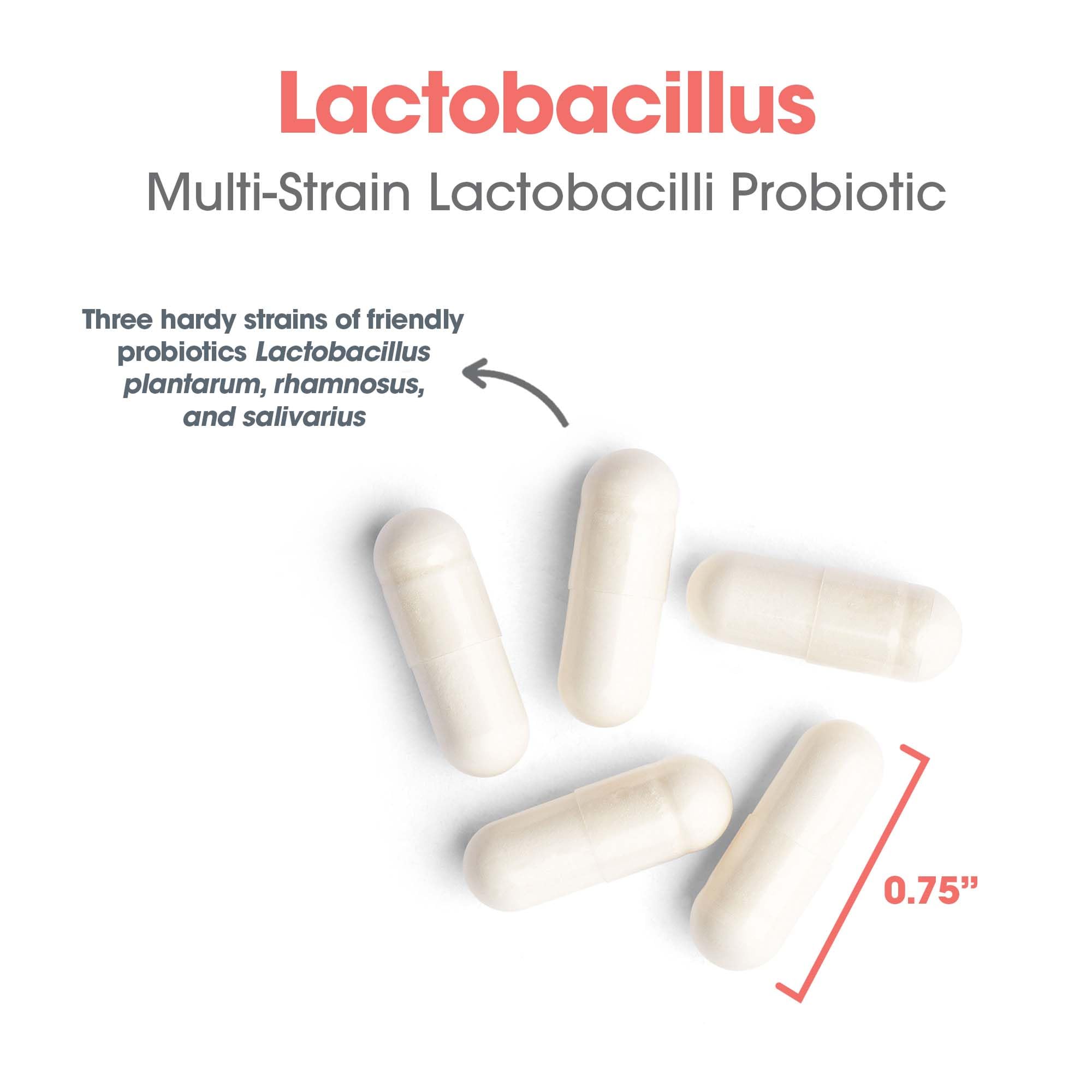 Allergy Research Group Bouteille, capsules, équilibre du microbiote et fonctions digestives.