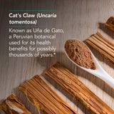 Allergy Research Group Griffes du chat - extrait d'écorce interne, soutien cellulaire potentiel