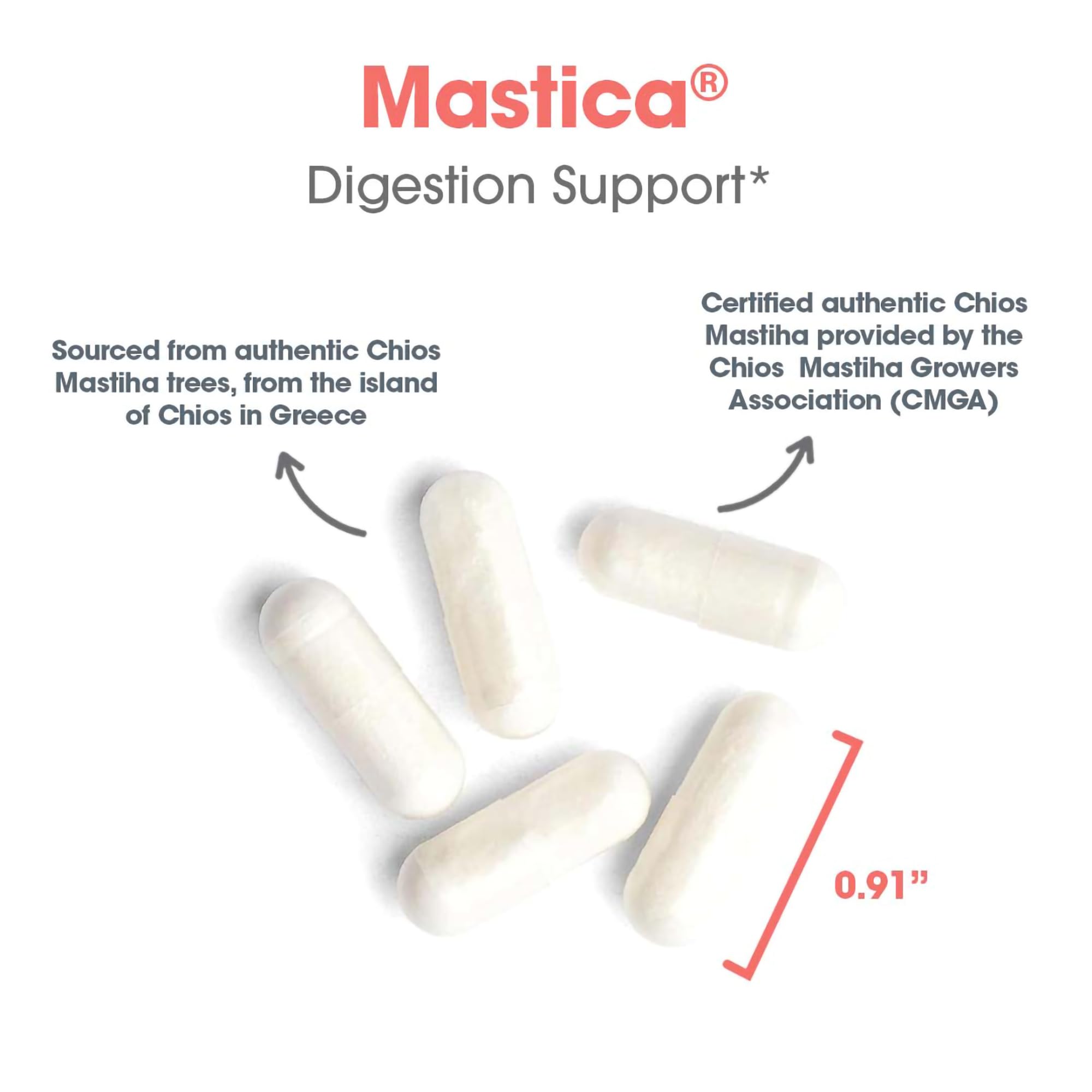 Allergy Research Group Mastica : dosage recommandé et prise entre les repas pour faciliter l'usage.