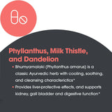Allergy Research Group Milk Thistle Plus – graines de chardon-Marie pour un support végétal
