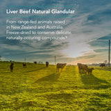 Contenant 62 portions Nutricology Liver Beef, idéal pour planifier l’usage régulier.