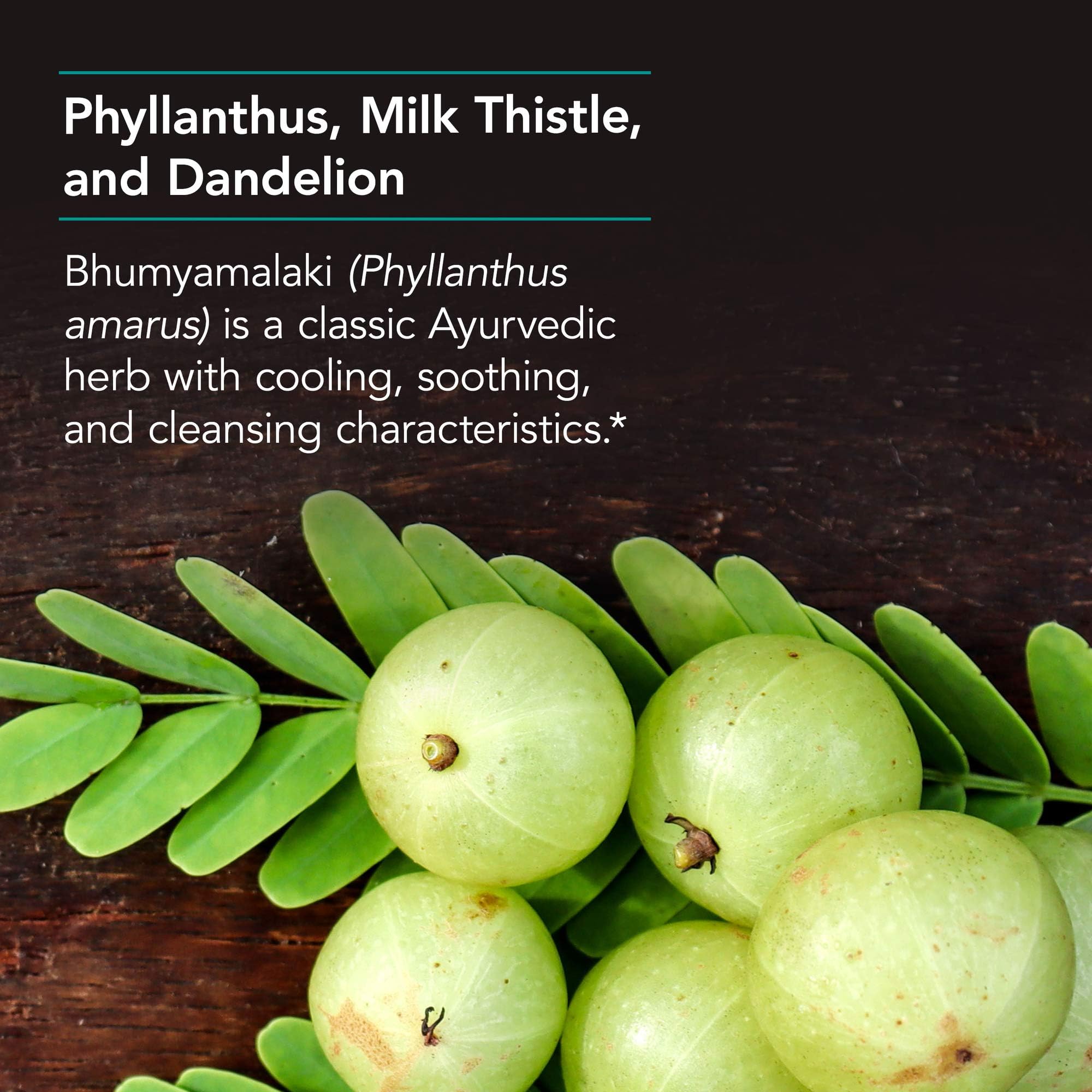 Nutricology Phyllanthus Complex utilisation-avec-repas: prise recommandée lors des repas.