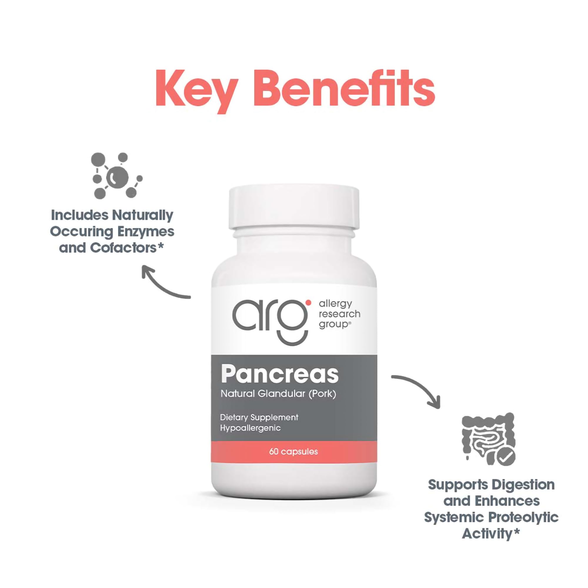 Allergy Research Group Pancreas Natural Glandular - Boîte de 60 gélules prête à l'emploi