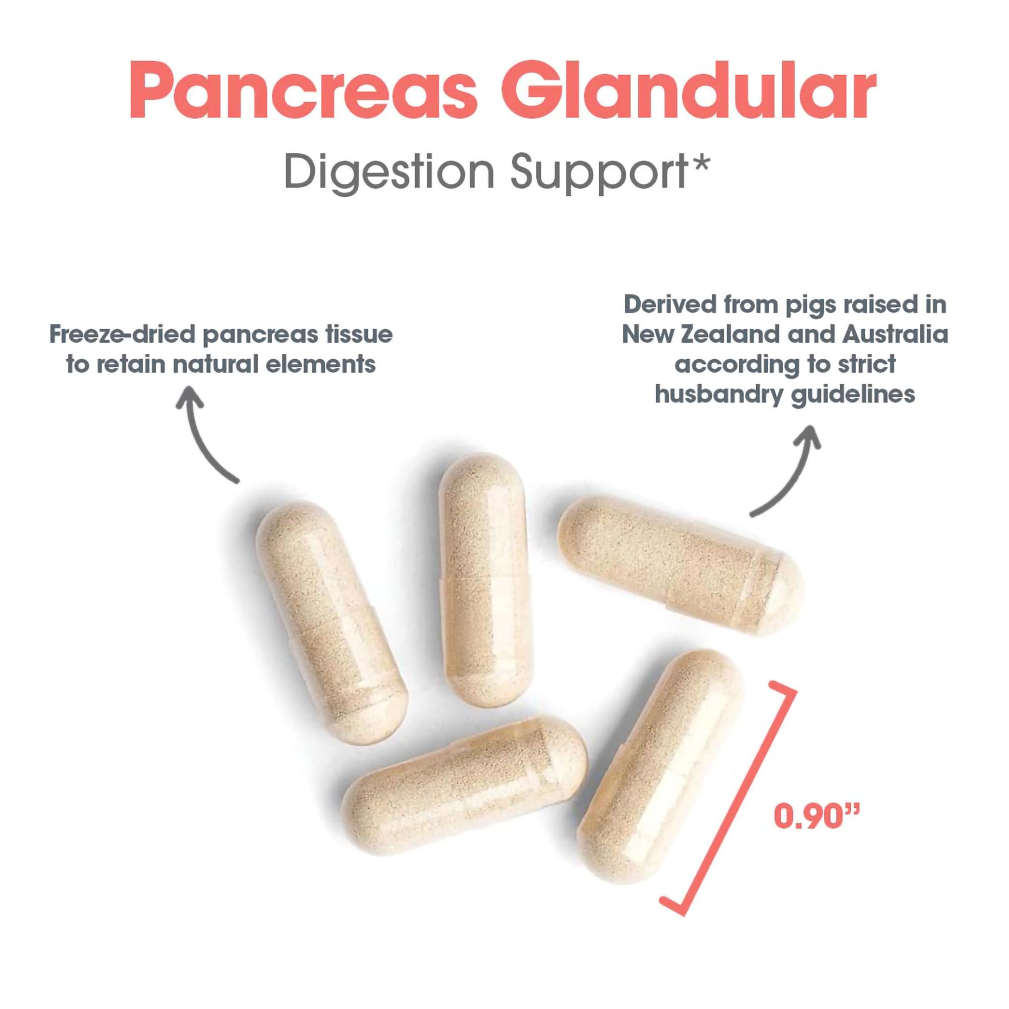 Allergy Research Group Pancreas Natural Glandular - Ingrédients lyophilisés préservant l'activité enzymatique