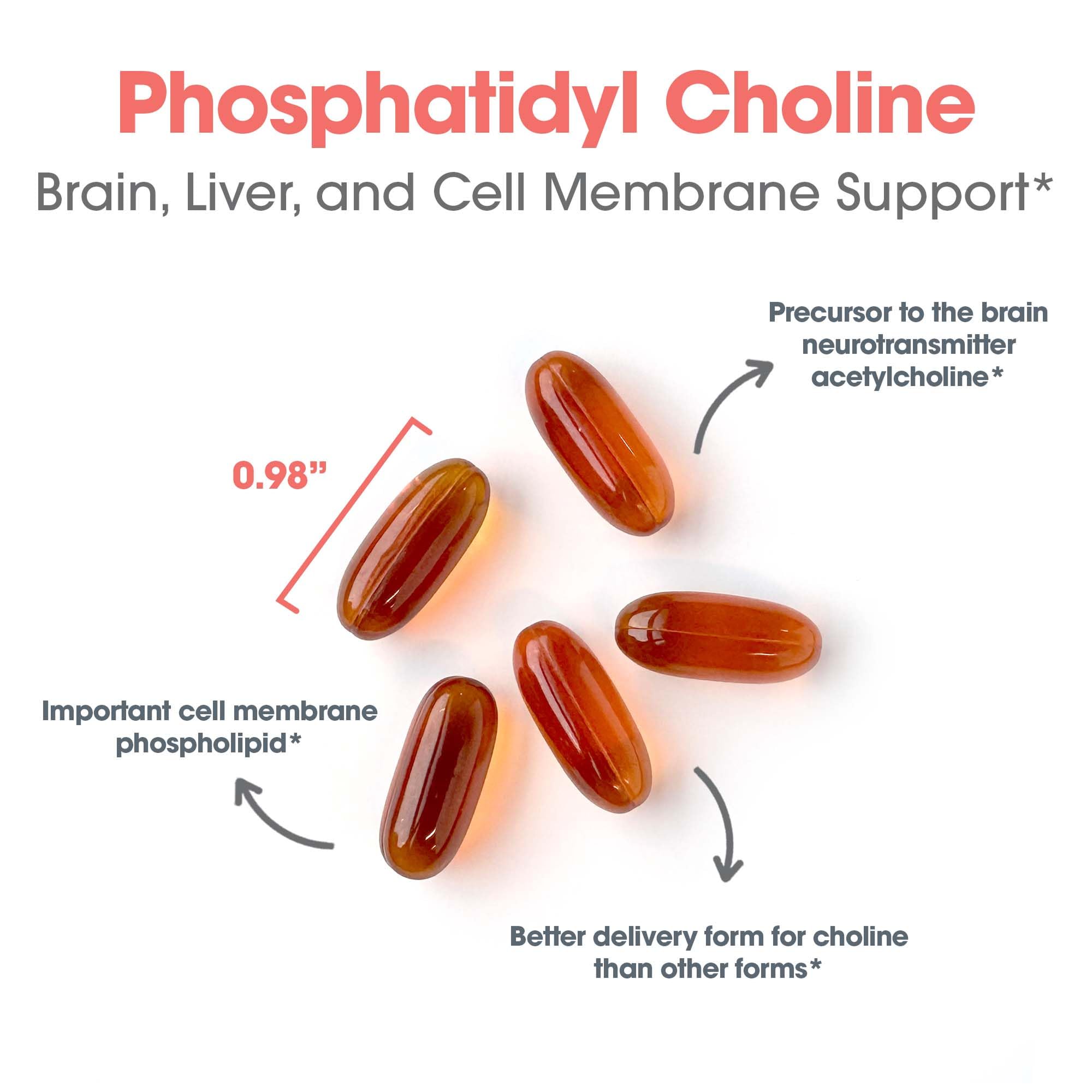 Allergy Research Group Phosphatidylcholine – détail capsule, facile à intégrer à votre routine