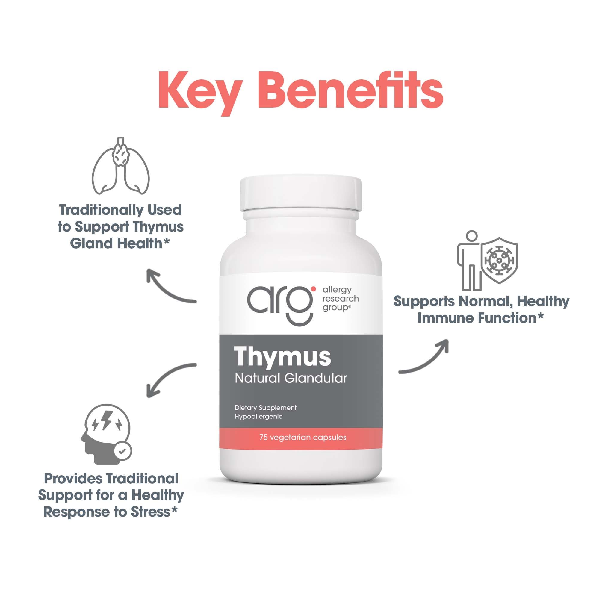 Processus de lyophilisation préserve l’activité du thymus ovine.