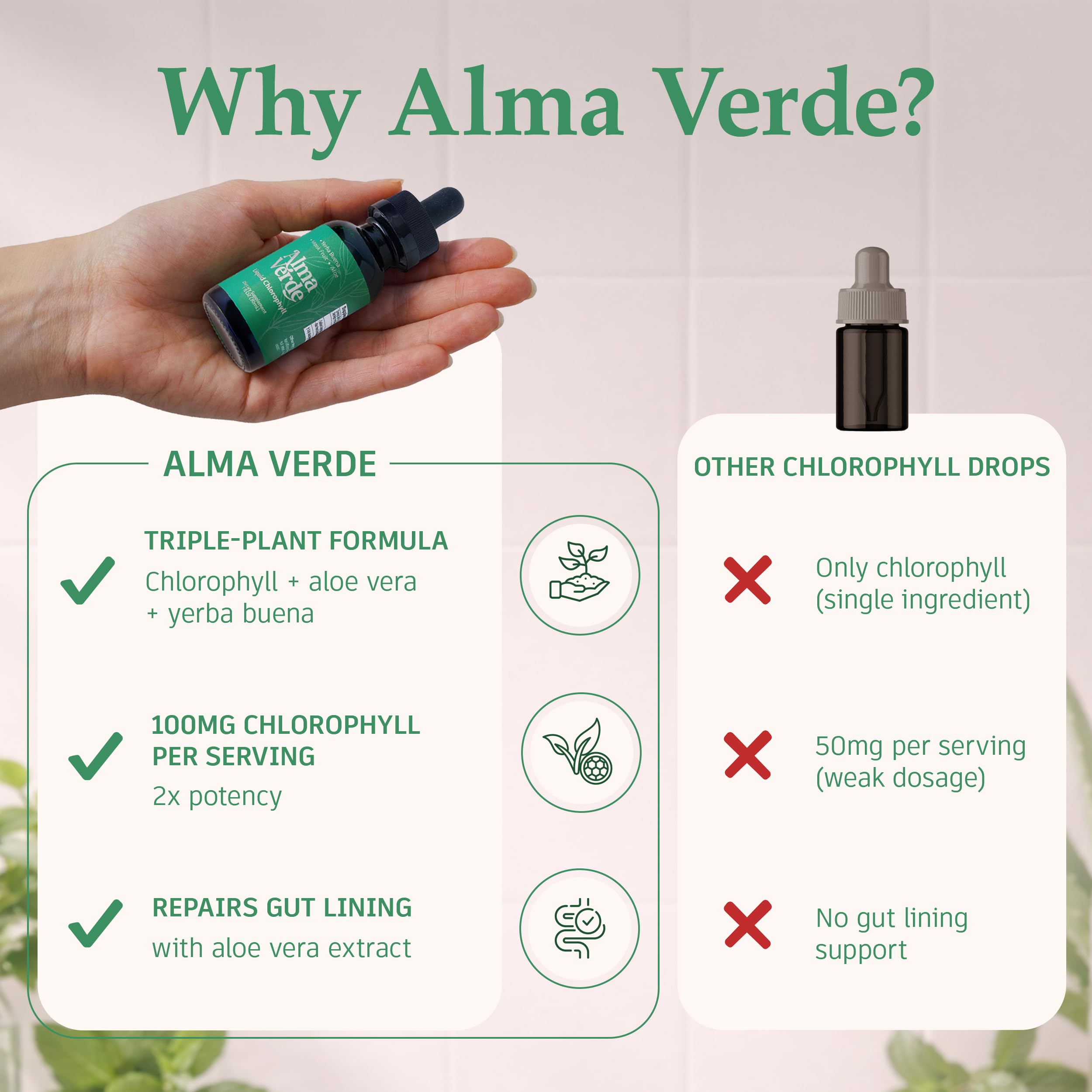 Extrait de chlorophylle de mûrier pour Alma Verde