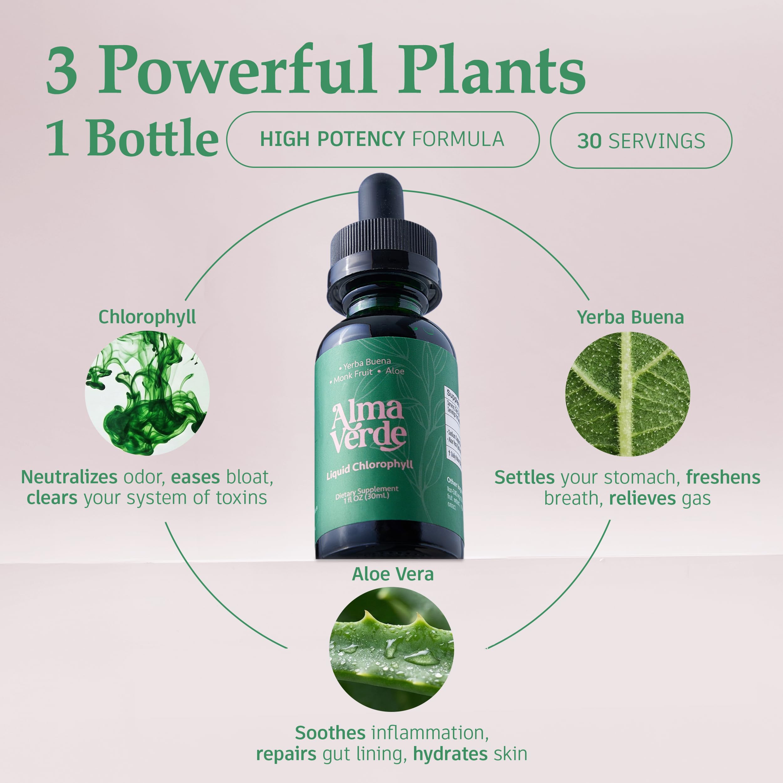 Ingrédients: aloe vera, yerba buena et chlorophylle Alma Verde