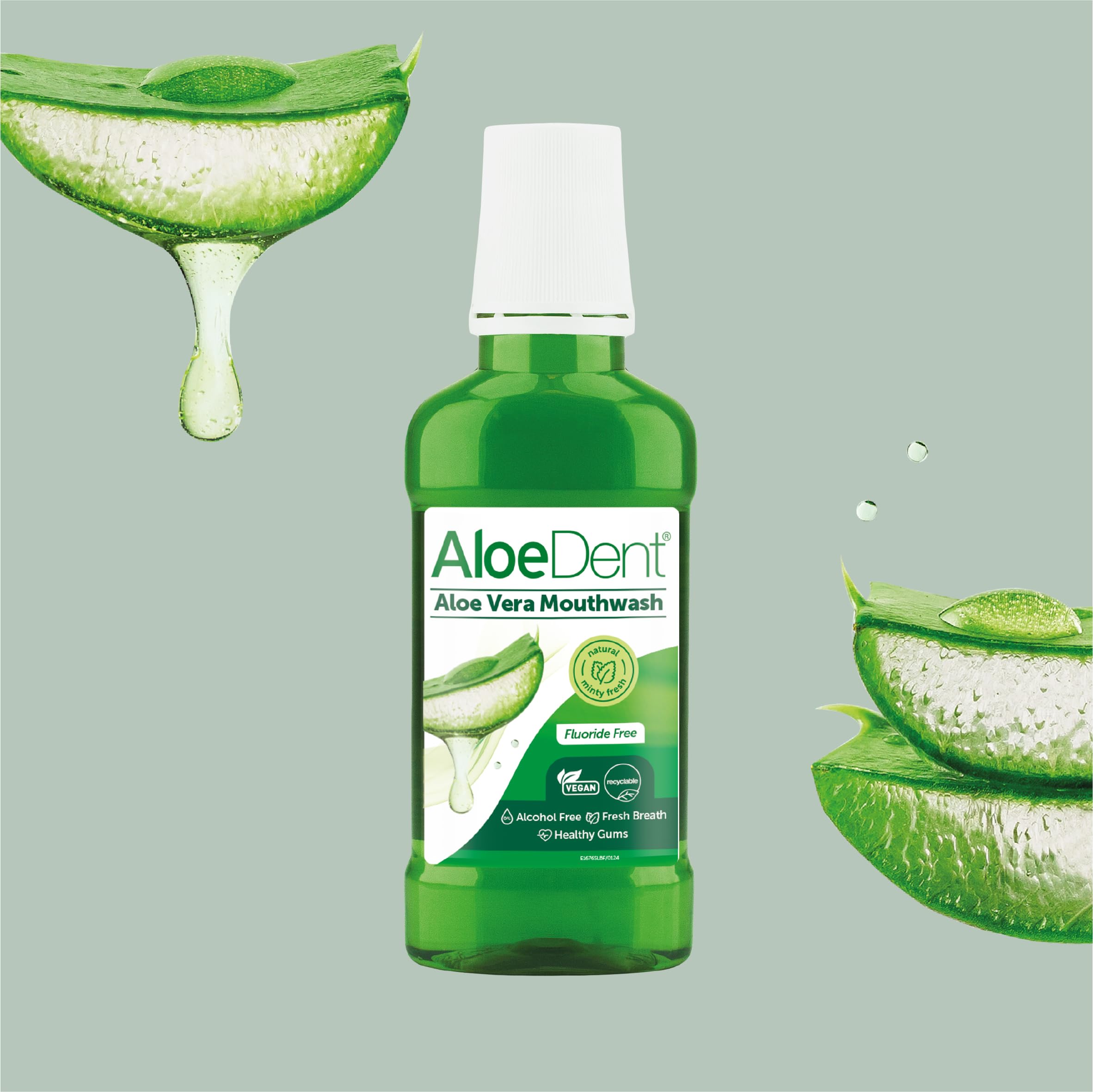 Aloe Dent - Formule sans alcool et sans saccharine pour un usage quotidien.